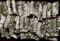 Wholesale White Sage & Peppermint 4" (Mini) (Pack of 25)