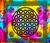 Wholesale Flower of Life Tapestry 72"x108" (Tiedye)