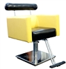 BNS Hair Styling Chair