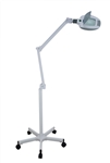 BNS Magnifying Lamp (5X Lens Magnification)