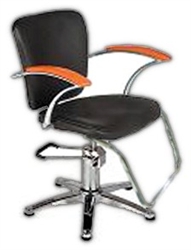 Professional Hydraulic Styling Chair