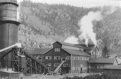 sawmillinfo