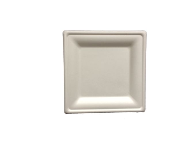 Salad Plate, Square, 8" - 500/Cs (4 X 125)