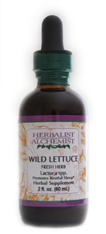 Wild Lettuce: Dropper Bottle / Organic Alcohol Extract: 2 Fluid Ounces