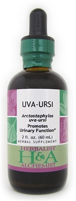 Uva Ursi: Dropper Bottle / Organic Alcohol Extract: 1 Fluid Ounce Only