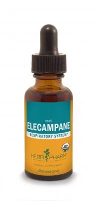 Elecampane: Dropper Bottle / Organic Alcoholic Extract: 1 Fluid Ounce