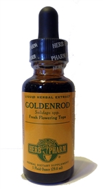 Goldenrod: Dropper Bottle / Organic Alcoholic Extract: 1 Fluid Ounce