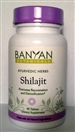 Shilajit: Bottle / Tablets: 90 Tablets