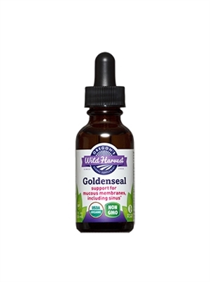 Goldenseal: Dropper Bottle / Organic Alcohol Extract: 1 Fluid Ounce
