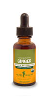 Ginger Extract: Dropper Bottle / Liquid: 1 Fluid Ounce