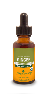 Ginger Extract: Dropper Bottle / Liquid: 1 Fluid Ounce