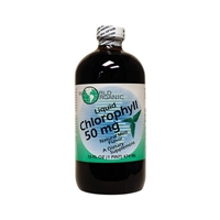 Liquid Chlorophyll, Mint: Bottle / Liquid: 16 Fluid Ounces