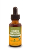 Coleus Forskohlii: Dropper Bottle / Liquid: 1 Fluid Ounce