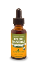 Coleus Forskohlii: Dropper Bottle / Liquid: 1 Fluid Ounce