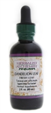 Dandelion Leaf: Dropper Bottle / Organic Alcohol Extract: 1 Fluid Ounce