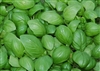 Basil, Organic (Bulk)