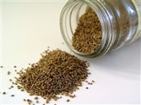 Celery Seed, Organic (Bulk)