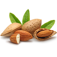 Almond Oil: Bottle / Liquid Oil: 8 Fluid Ounces