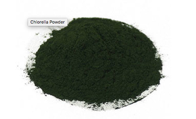 Chlorella Powder (Bulk)