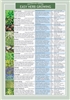Easy Herb Growing Chart