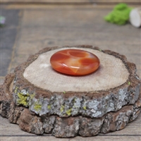 Carnelian Palm Stone : Approx 1.5"
