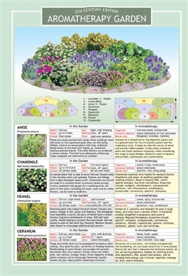 Aromatherapy Garden Chart