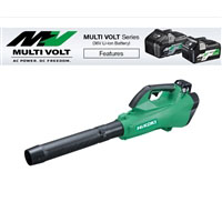 Leaf Blower Cordless