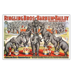 Ringling Elephants Poster