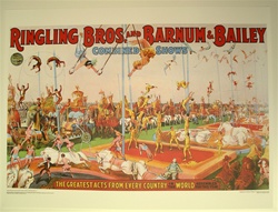 Ringling Trapeze Poster