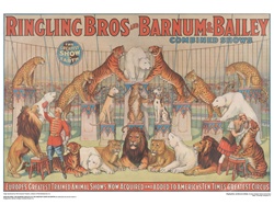 Ringling Animal Show Poster