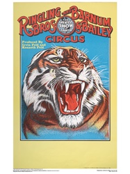 Tiger Head Poster