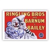 Ringling Bros. and Barnum & Bailey White Face Clown Poster