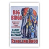 Ringling Bros. and Barnum & Bailey Big Bingo Poster