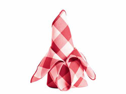 Polyester Check Napkin 20" x 20" Square - 1 dozen/pack