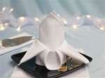 Sample - 17" x 17" Square Polyester Napkin - 1 dozen
