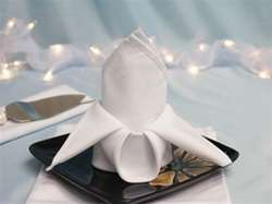 Sample - 17" x 17" Square Polyester Napkin - 1 dozen