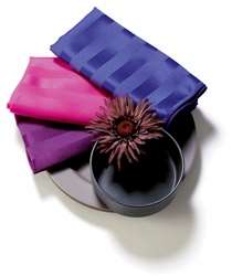 SAMPLE 17" x 17" Poly Stripe Napkin - 1 dozen/packet -