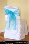 Sample- Organza Sash