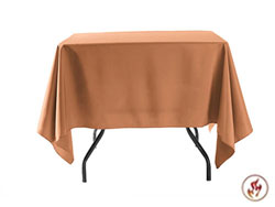 Fire Retardant/Proof Polyester Square/Overlay 60" x 60"