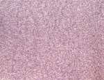 Organza Overlays-  72" X 72" Square - Victorian Lilac - 10 Overlays/Packet