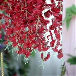 42" Artificial Wisteria Vine Silk Hanging Flower Garland - Wine