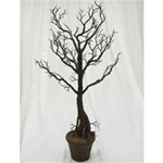 Shop 36" Vogue Potted Manzanita Centerpiece Tree – Natural for Events | RazaTrade