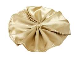 5/pk Satin Napkins - Champagne