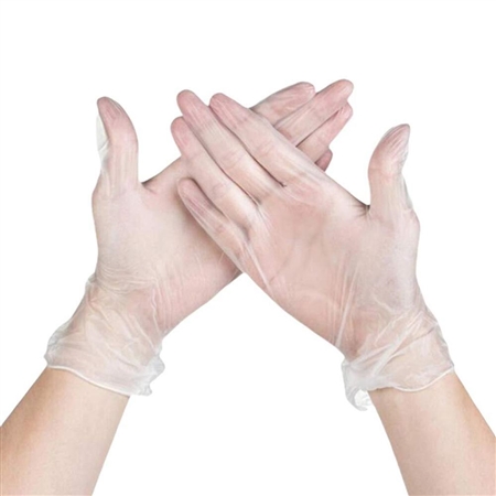 Non Sterile Large Powder Free Gloves Disposable Vinyl Gloves, Latex Free Gloves - Pack Of 100