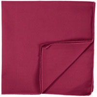 17" x 17" Domestic Cotton Napkins - Pack of 12
