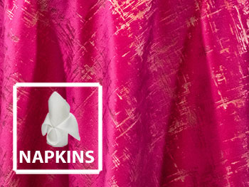 20" x 20" Premium Etched Velvet Napkins - 12 Pack