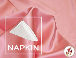 Rental Fire Retardant 20"X20" Satin Lamour Dinner Napkins