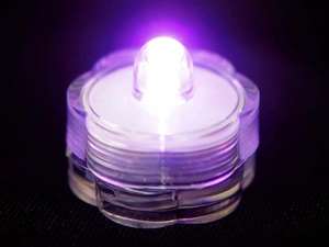 Brilliant Submersible Vase Lights  LED 12/pk  Purple