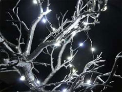 10 Yards LED Vanity Fairy Lights w/ Wall Plug  White