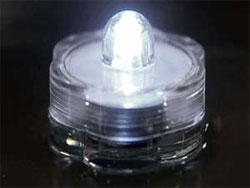 Brilliant Submersible Vase Lights  LED 12/pk  White